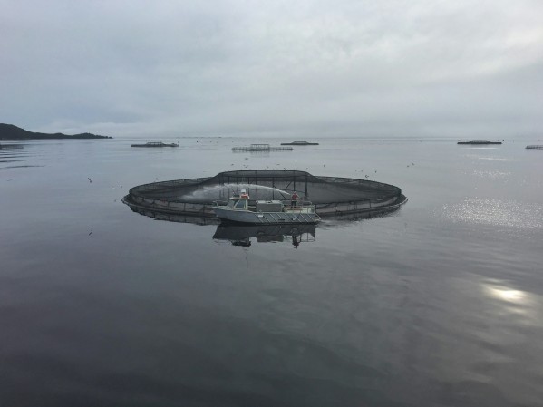 West Coast salmon delegation meets with Tasmanian Federal Liberal Team 